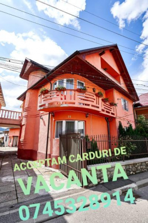 Camere de inchiriat ROMAN, Vişeu De Sus